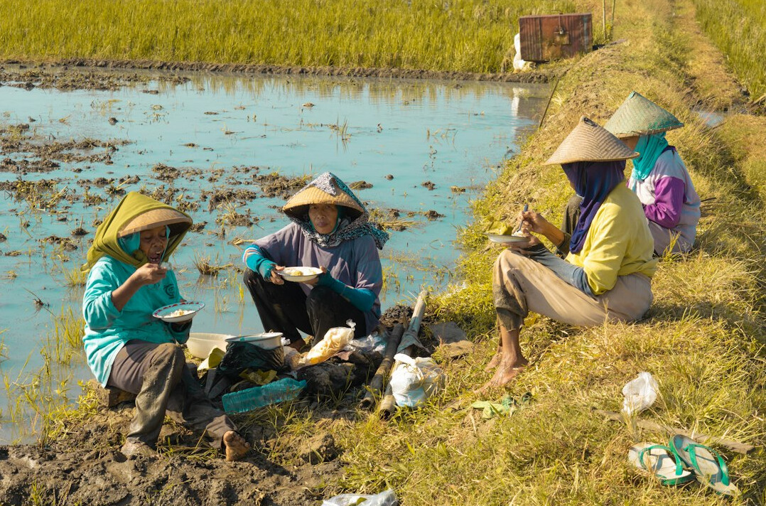 Small team of researchers reviewing photographs and notes outdoors